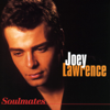 Soulmates - Joey Lawrence new Single