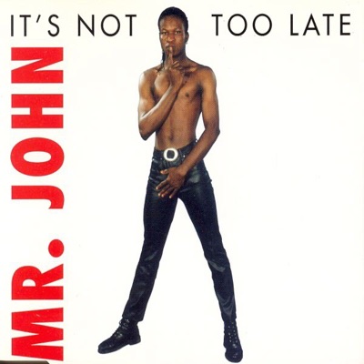Mr. John - It's Not Too Late (Extended Dub Version)