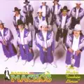 banda machos