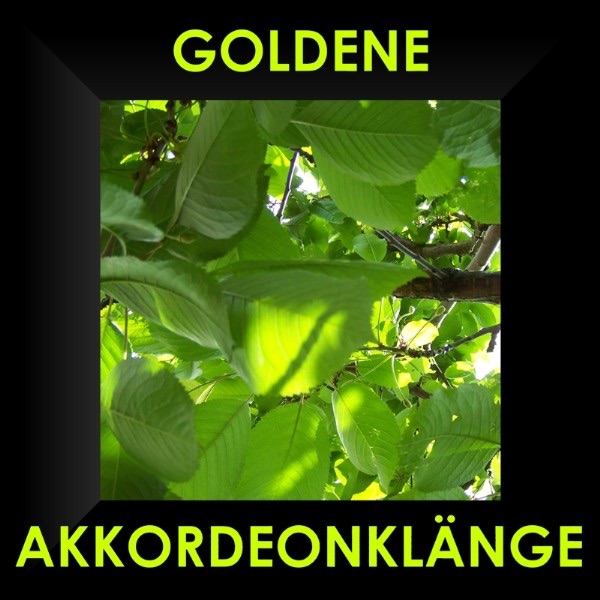Goldene Akkordeon-Klänge