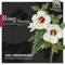 I am the rose of Sharon - Ensemble Phoenix Munich lyrics