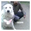 Boogers - Broke My Bones