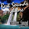 Best Sounds of Nature