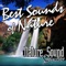 South American Jungle Ambience - Nature Sound Series lyrics