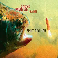 Midnight Daydream — Steve Morse Band