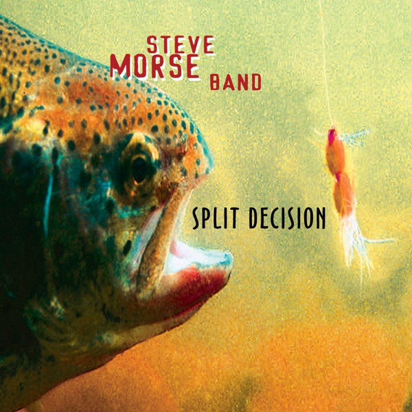 Split Decision artwork