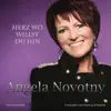 Herz wo willst du hin (Radio Mix)