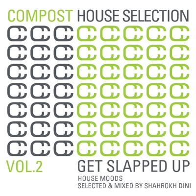 Compost House Selection, Vol. 2 - Get Slapped Up (Selected and Mixed by Shahrokh Dini)