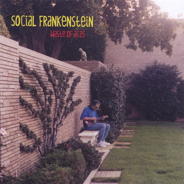 Social Frankenstein