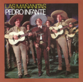 Las Mañanitas song art