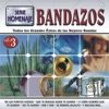 Bandazos - Todos los Grandes Exitos de las Mejores Bandas - Serie Homenaje