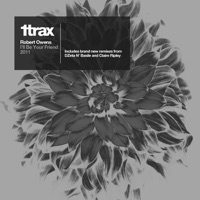 I'll Be Your Friend - Single - Robert Owens