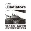 The Radiators - Red Dress (Live)
