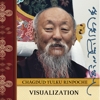 Visualization - Chagdud Tulku Rinpoche
