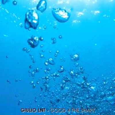 Good 4 the Shark - Single