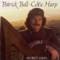 Carolan's Concerto - Patrick Ball lyrics