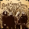 Black Stone Cherry, 2006