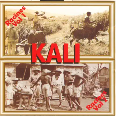 Listen to Racines Vol 1 & 2 by Kali