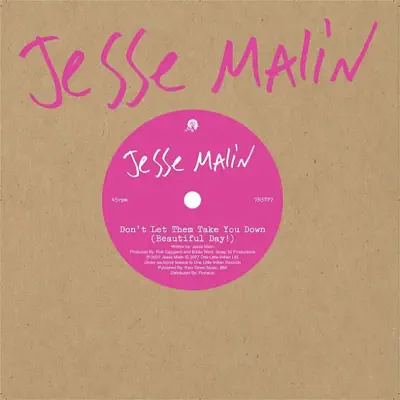 Don't Let Them Take You Down (Beautiful Day!) - Single - Jesse Malin