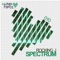 Spectrum (Haterboy & Van Hagen Remix) - Rocking J lyrics