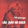 Luiz Gonzaga - Noites Brasileiras