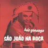 Luiz Gonzaga - São João Na Roça