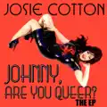 Johnny, Are You Queer?