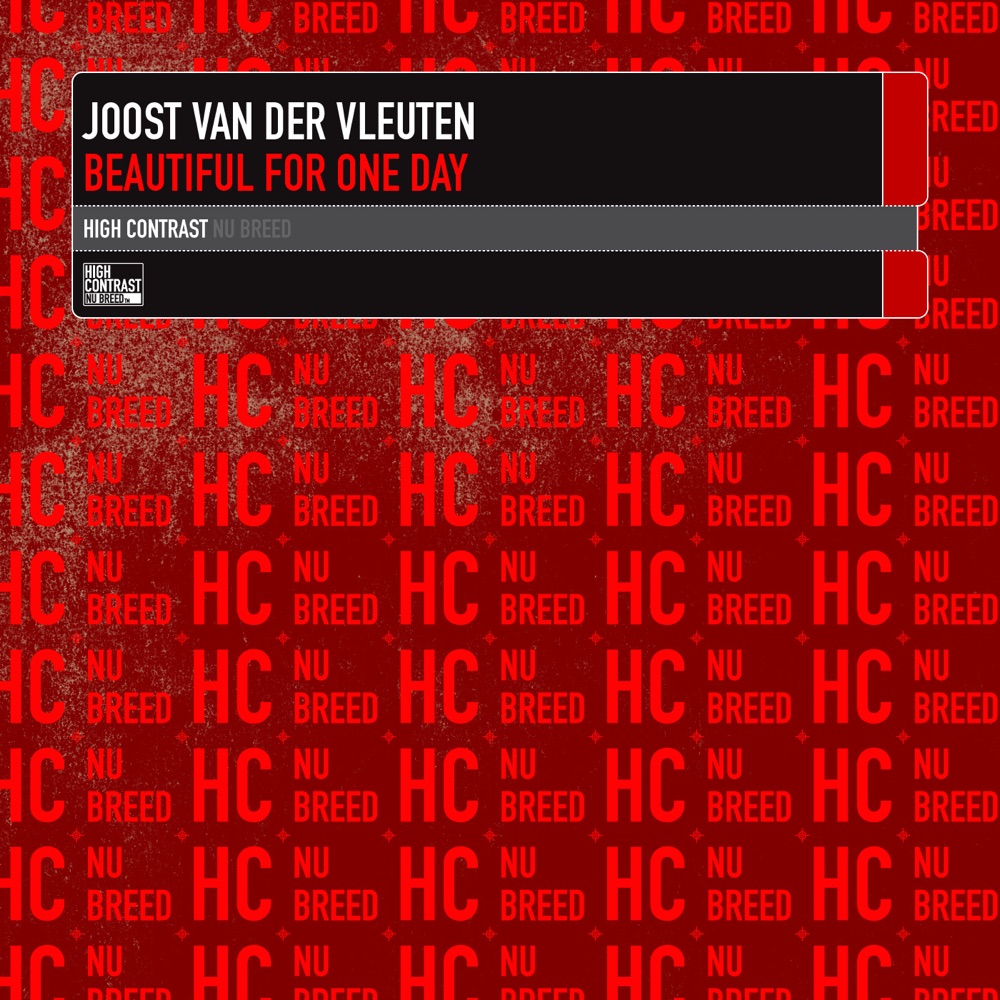 Обложка альбома «Beautiful for One Day - Single» — Joost van der Vleuten