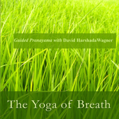 Cover art for The Yoga of Breath: Guided Pranayama With David Harshada Wagner by Music for Deep Meditation