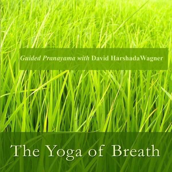 The Yoga of Breath: Guided Pranayama With David Harshada Wagner
