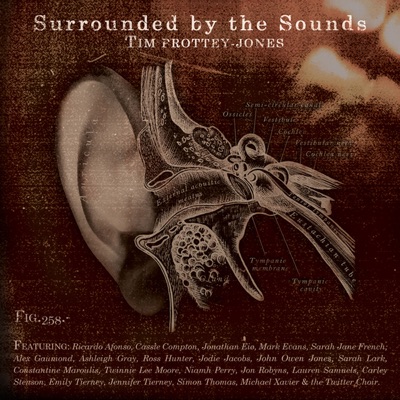 Surrounded by the Sounds