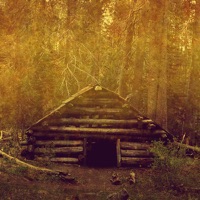 All that Is Wild & Alive - Startle the Heavens