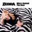 Who's Behind the Door - Single
