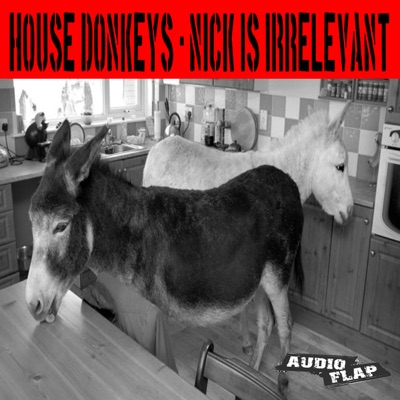 Nick Is Irrelevant - Single