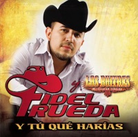 ¿Y Tú Qué Harías?
