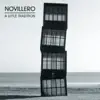 Novillero