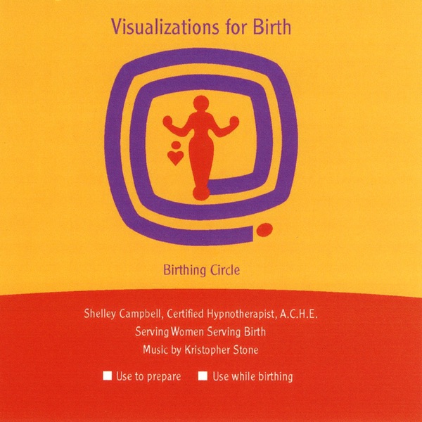 Cover of Visualizations for Birth