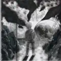 Reprise