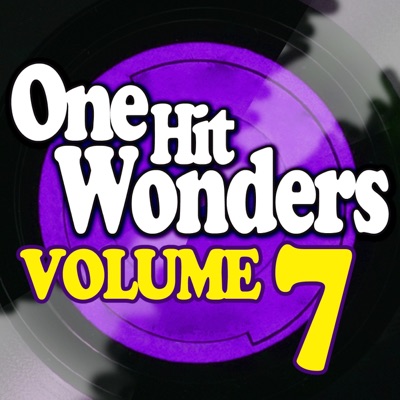 One Hit Wonders - Vol. 7 (Rerecorded Version)