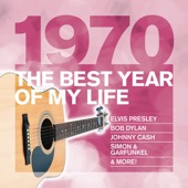 The Best Year of My Life: 1970 artwork