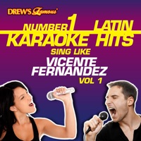 Drew's Famous #1 Latin Karaoke Hits: Sing Like Vicente Fernandez Vol. 1 - Reyes De Cancion