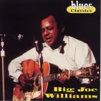 Snitchin' Blues — Big Joe Williams