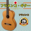 20 フラメンコ・ギター