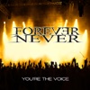 You're the Voice - Single