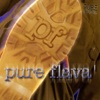 Pure Gospel - Pure Flava'
