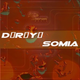 SoMiA (DJ Stijn Remix) Dry