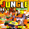 Jungle Hits Volume. 3 - Various Artists