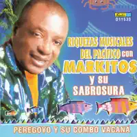 Mi Peregoyo — Peregoyo y Su Combo Vacana