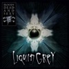 Liquid Grey - EP