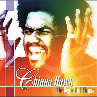 Listen to The Beautiful Things by Chinua Hawk